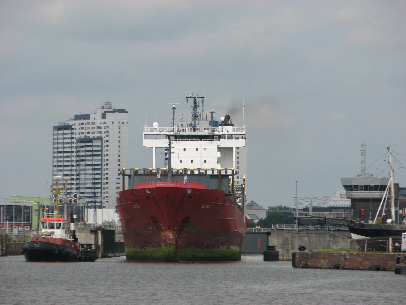 Der Postillon Das Sind Die 30 Beliebtesten Hundenamen In Deutschland