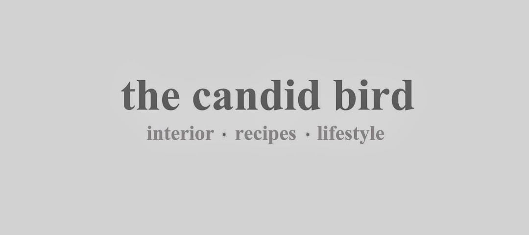 The Candid Bird