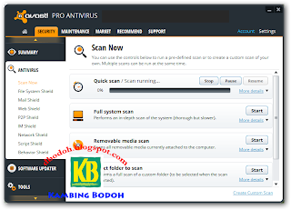 avast free download for windows xp professional avast free download for windows xp professional