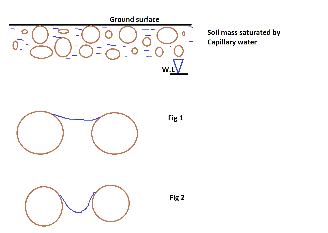 How [Surface Tension] and [Capillary Action] Work in Water / Soil With relation Your Hop