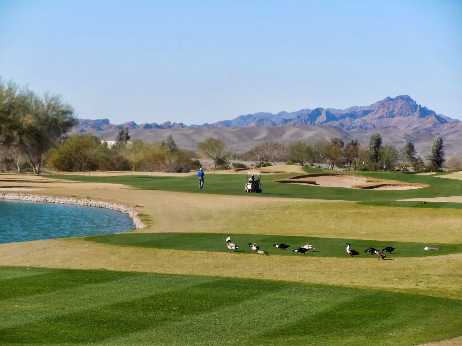 RV Voyageur Around and About......