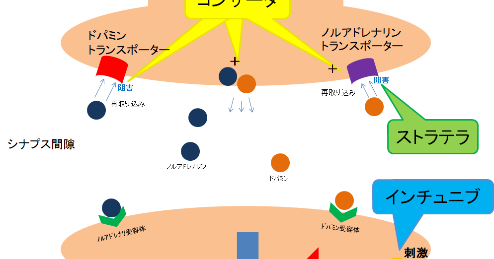リスクと考慮事項