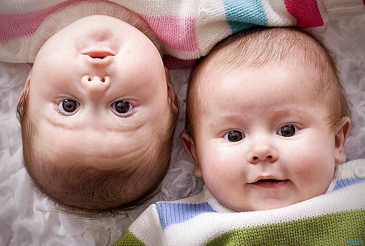 Cute Twins Baby Picture Wallpaper  Wallpapers Gallery