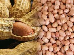 Kacang Tanah Manfaat dan Khasiat Kacang Tanah