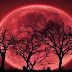 MUNDO / “Sinal do Apocalipse?” Após passagem de marte, Lua de Sangue será visível no céu na próxima semana.