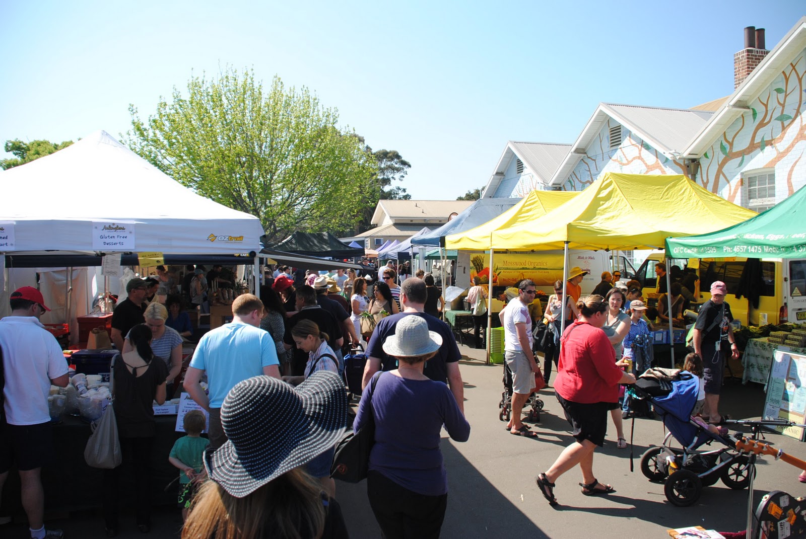 The Adventures of Miss Piggy Orange Grove Markets, Lilyfield