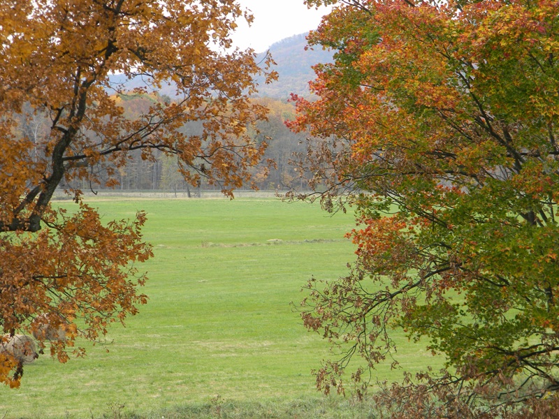 SWAC Girl Buffalo Gap western Augusta County