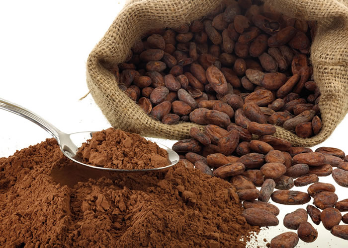 pemprosesan buah koko cocoa kepada coklat chocolate pemprosesan buah koko cocoa kepada coklat chocolate