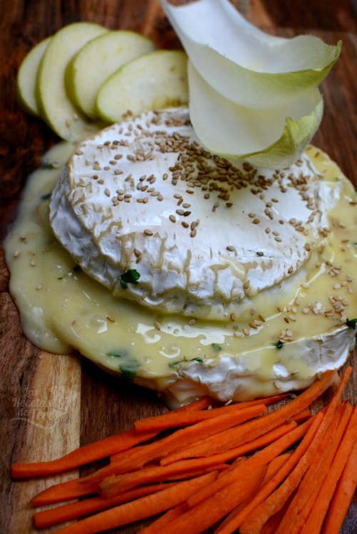 Aperitivo-de-queso-cremoso-al-vino-03