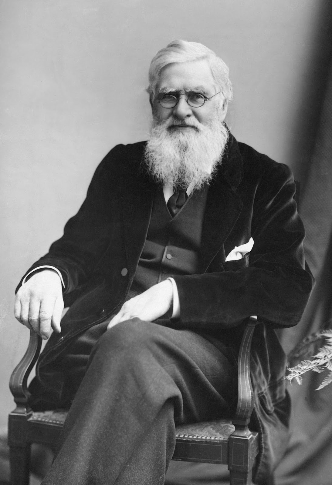 O Melhor da Biologia: Wallace e a origem das espécies