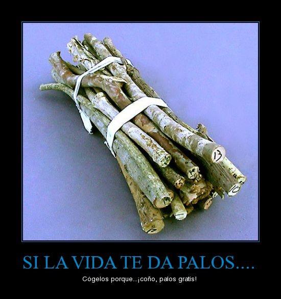 Las Fotos Mas Alucinantes si la vida te da palos...cogelos porque ¡coño, palos gratis!