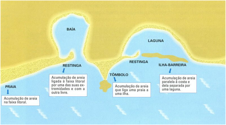 Bio & Geo, Tudo o Que