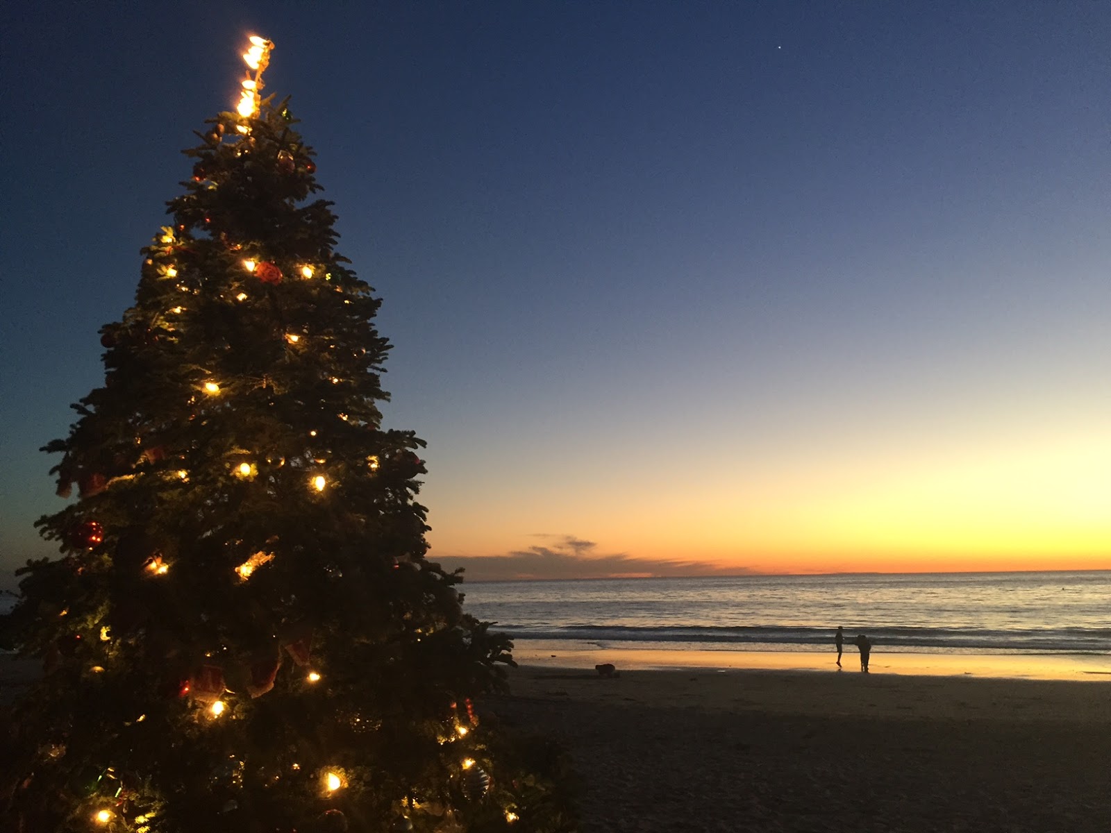 Join The Gossip Crystal Cove Christmas Tree