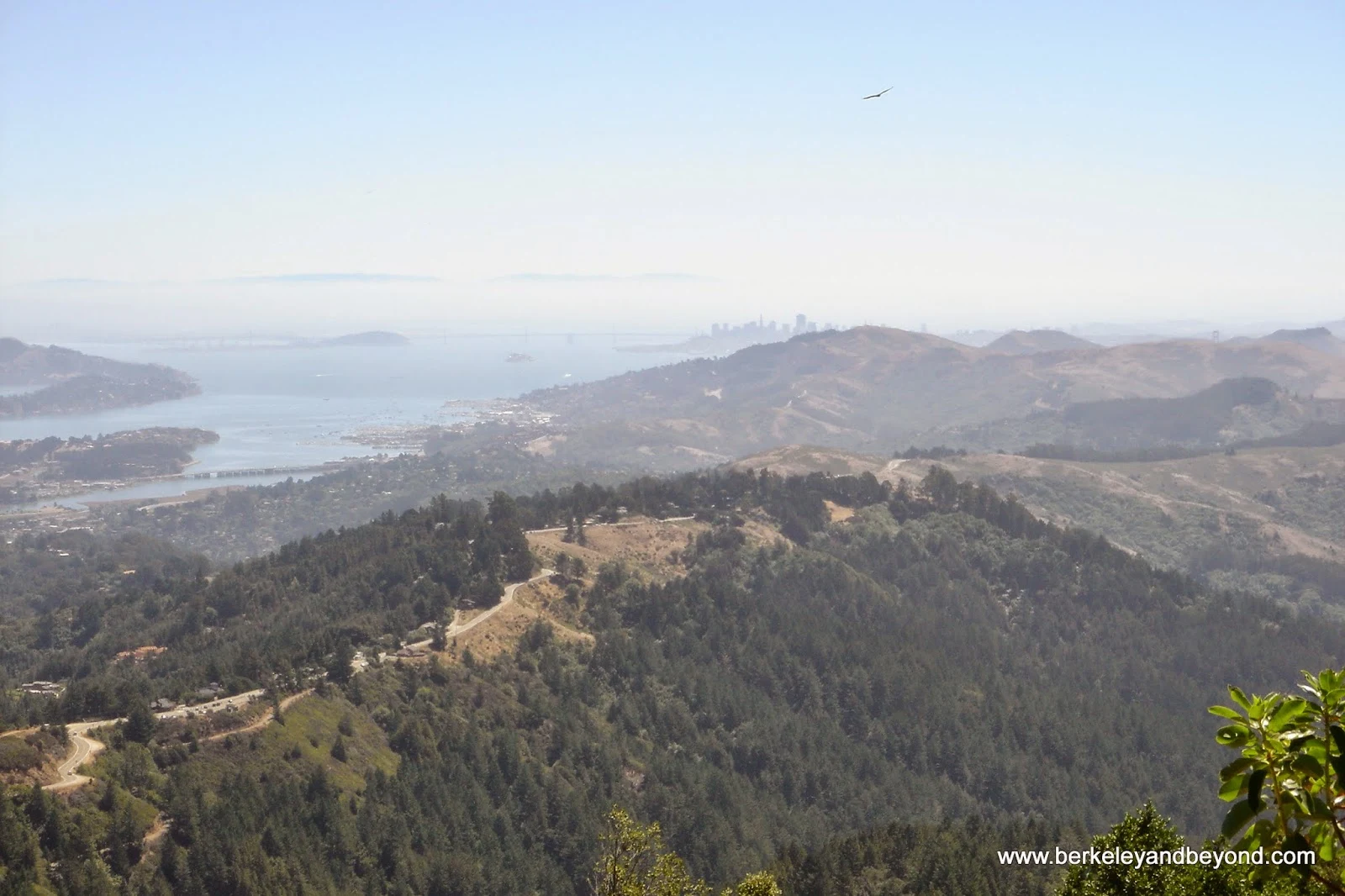 view of San Francisco from Matt Davis Trail in Mill Valley, CA