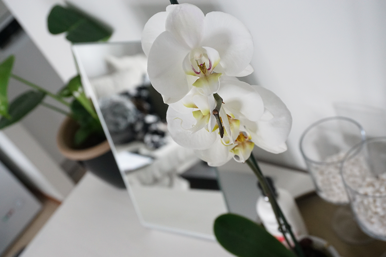 Kalkkimaalattu lipasto, meikkipöytä, orkidea
