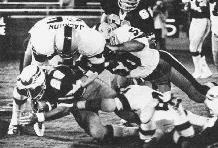 Best. Blog. Ever.: San Antonio Wings at Jacksonville Express