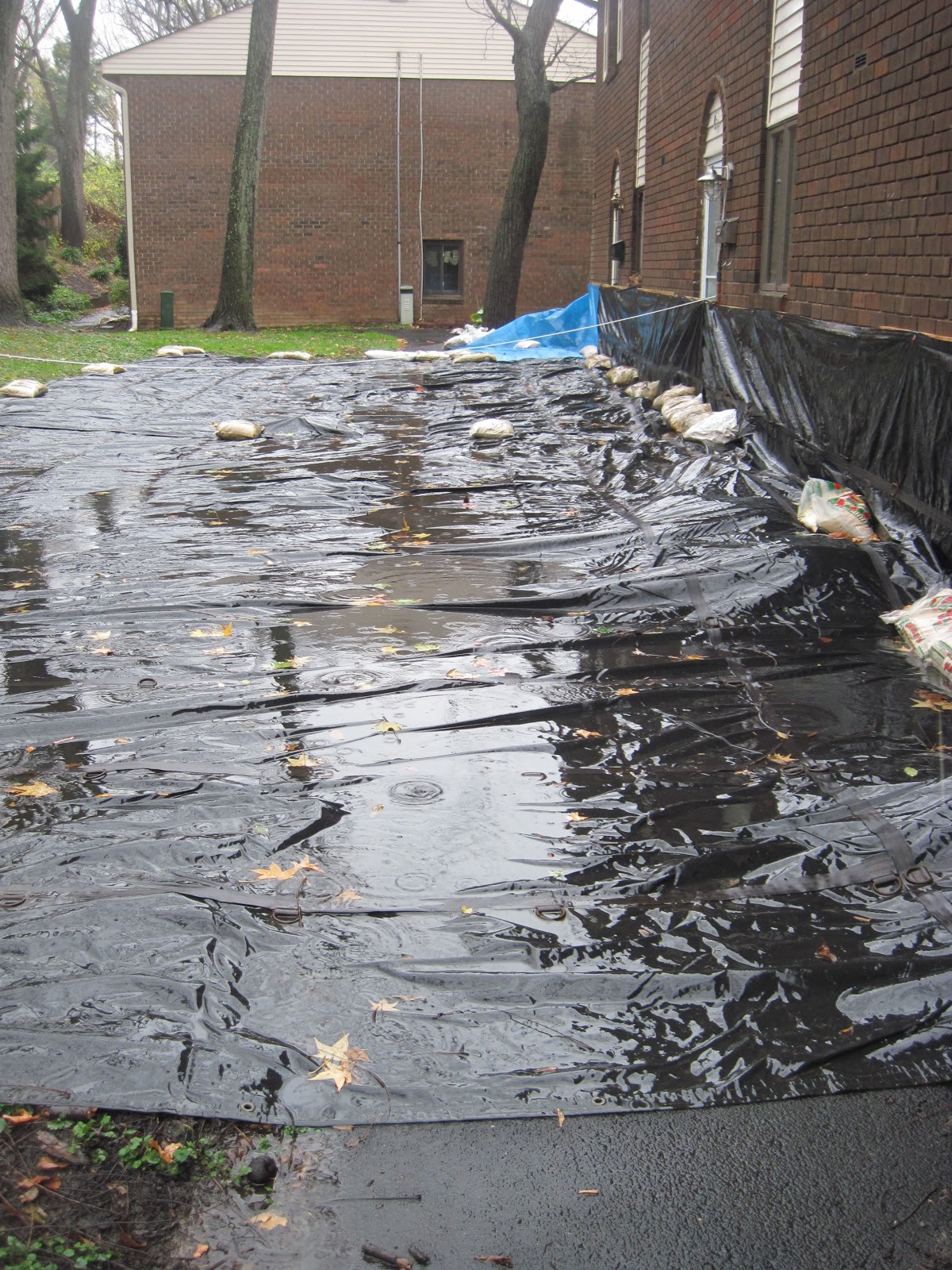 The Belle of Cowbell The Bipolar Therapist from Willow Grove, PA Stay