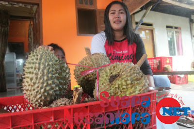 Warga Songgon Keluhkan Maraknya Durian Yang Datang Dari Luar Banyuwangi