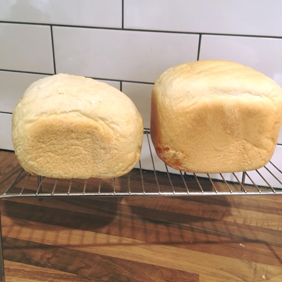 FOOD PRESERVING BASIC WHITE BREAD (BREAD MACHINE)