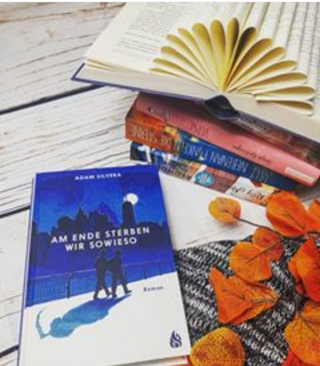 InLovewithbetterbooks (Rezension) Am Ende Sterben wir sowieso