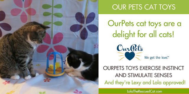 ourpets toys|interactive cat toys
