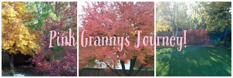 Pink Granny's Journey...
