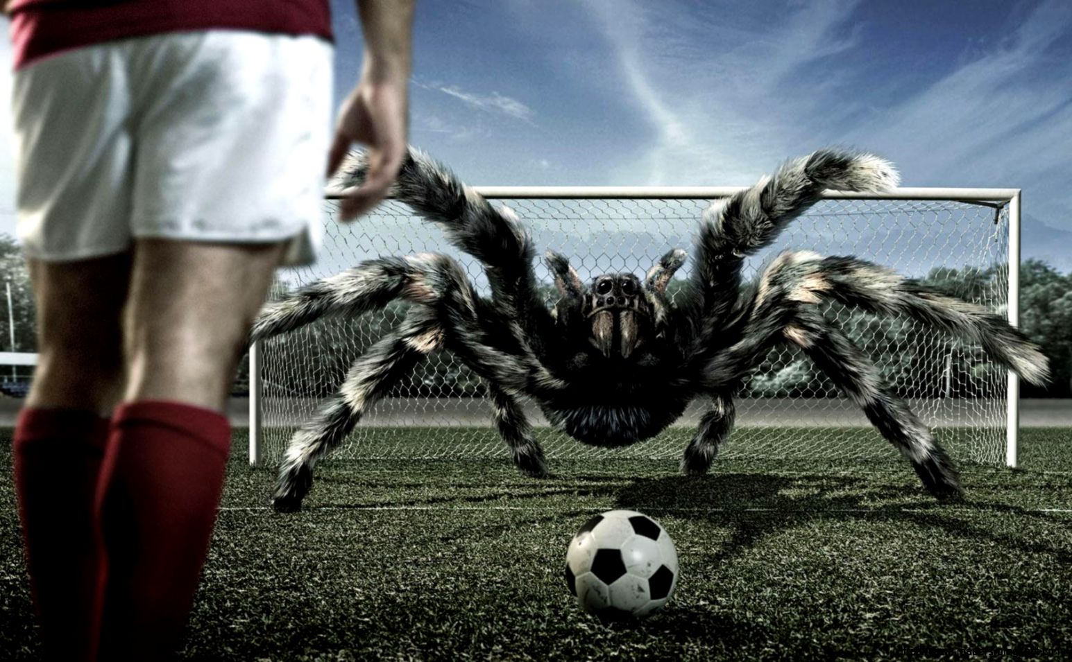 FUNNY SOCCER WALLPAPER   58643   HD Wallpapers
