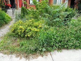 Toronto garden cleanup Paul Jung Gardening Services Leslieville front before
