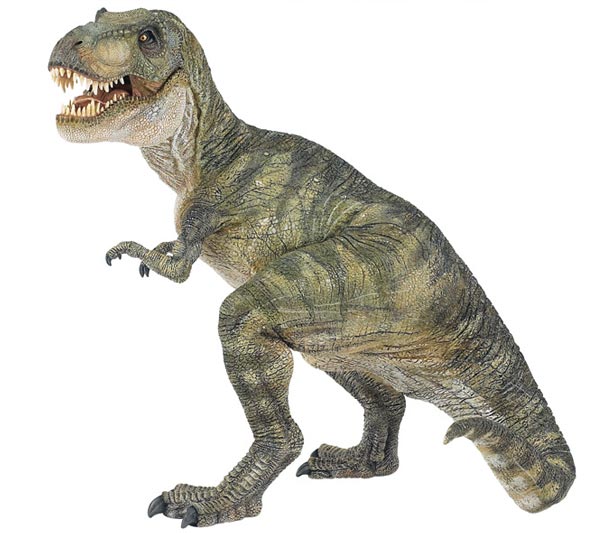 VIDA DE DINOSAURIOS IM GENES VIDA DE DINOSAURIOS IM GENES