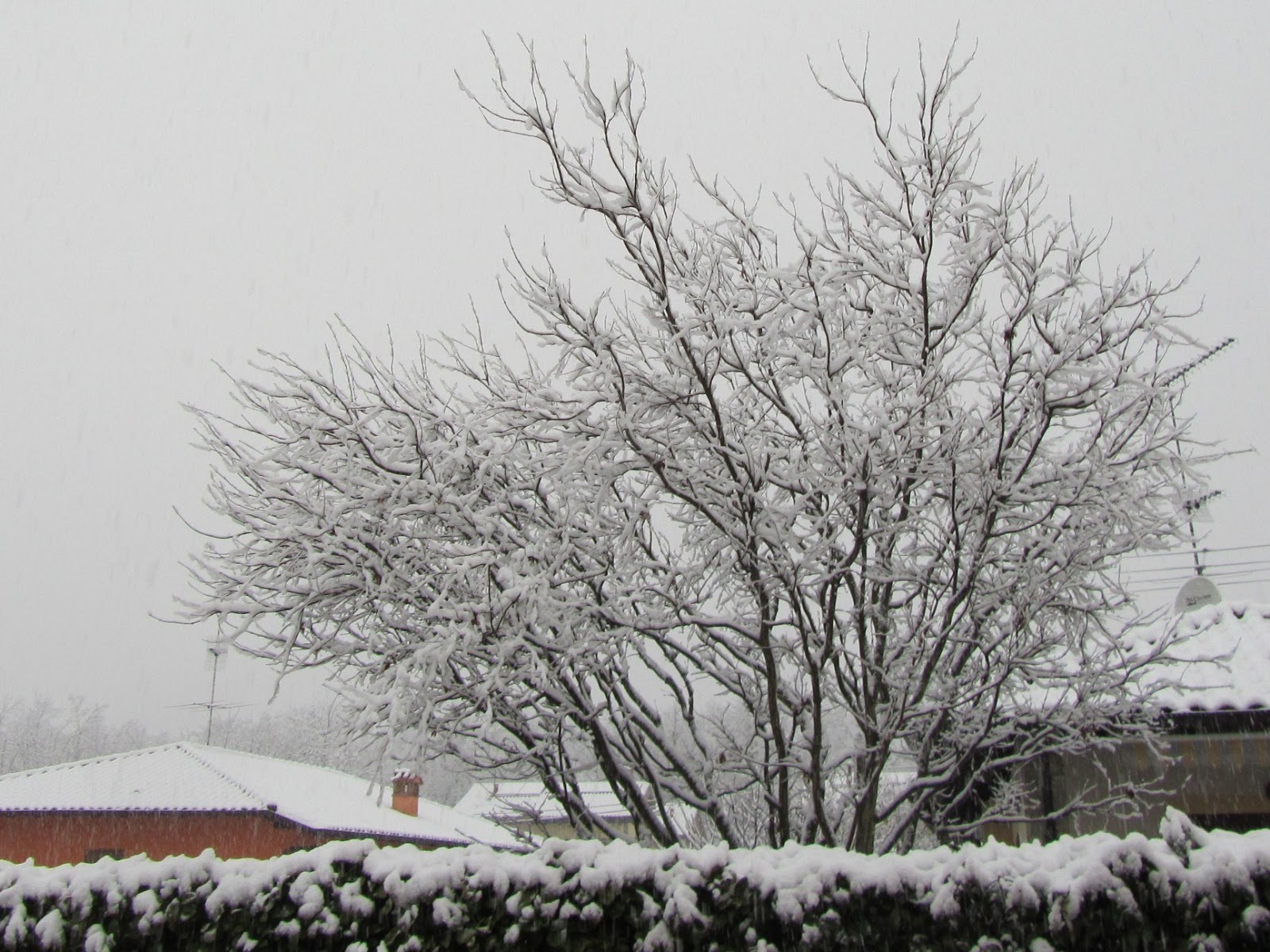 Il Gusto Della Natura Quando Inizia L Inverno Com E Il Suo Clima