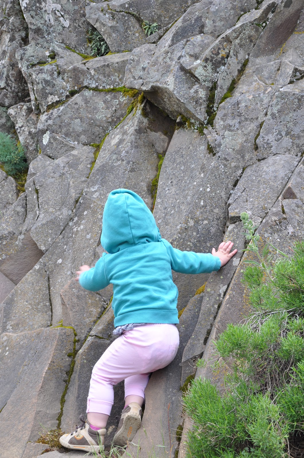 Oregon Holts Horsethief Butte Toddler Rock Climbing 101