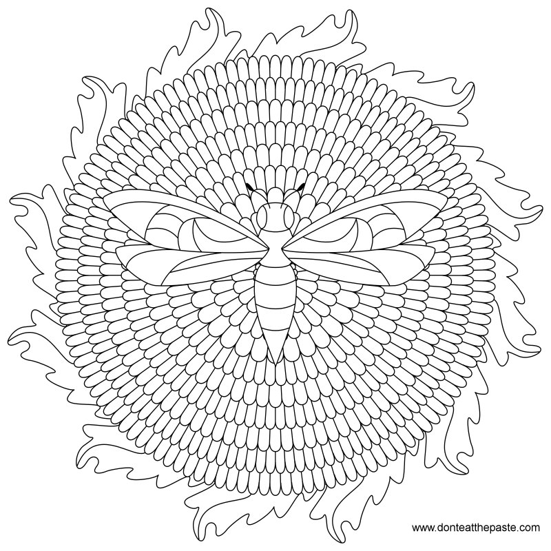 Bee and dandelion mandala to color- also available in transparent PNG #coloring