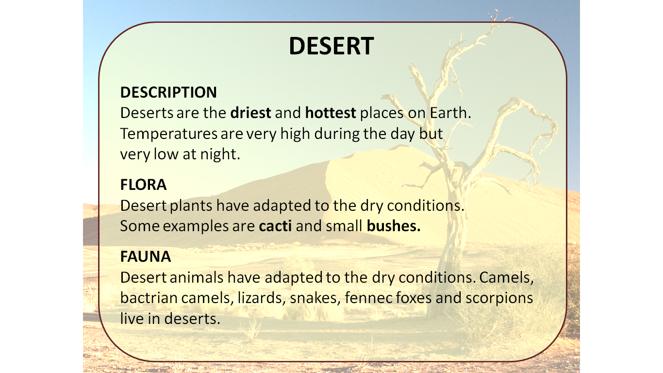 5th Grade Andrés Segovia SCIENCE UNIT 2 Deserts