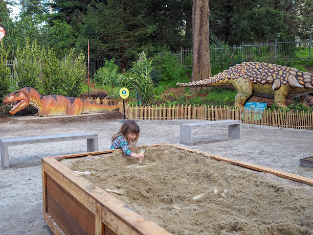 digging for dinosaur bones