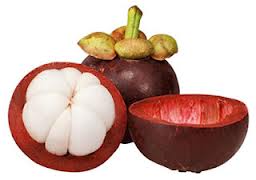 Kulit Buah Manggis Kulit Buah Manggis