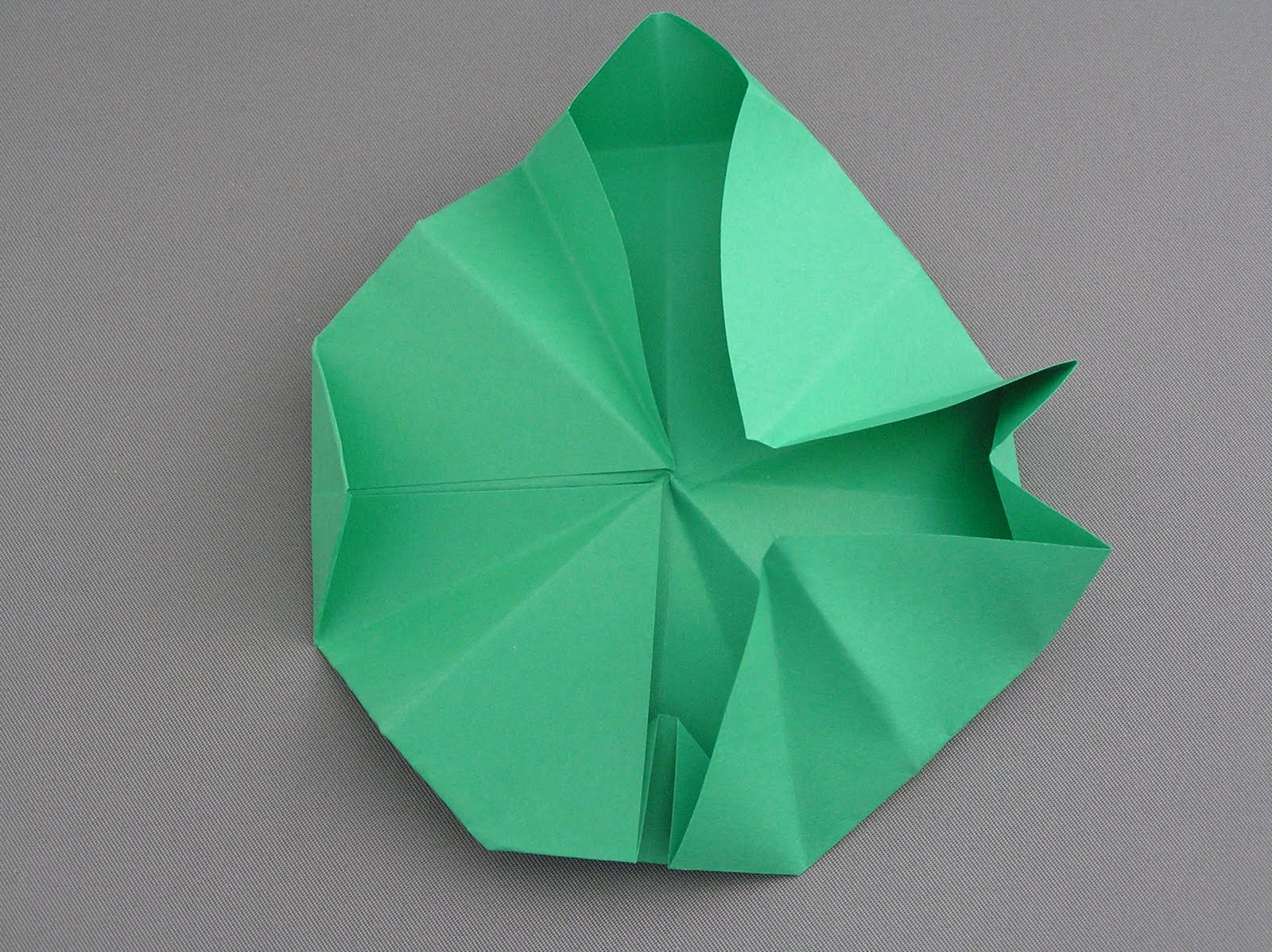 JC's Blog Origami Water Lilly and LillyPad