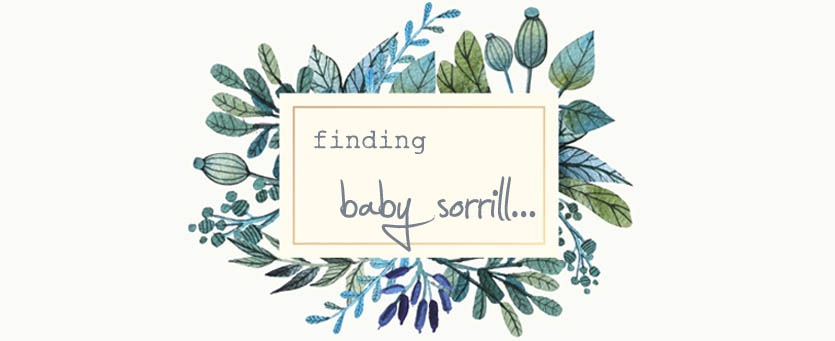 Finding Baby Sorrill