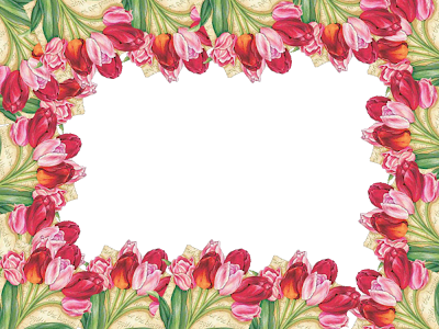 marcos de flores png