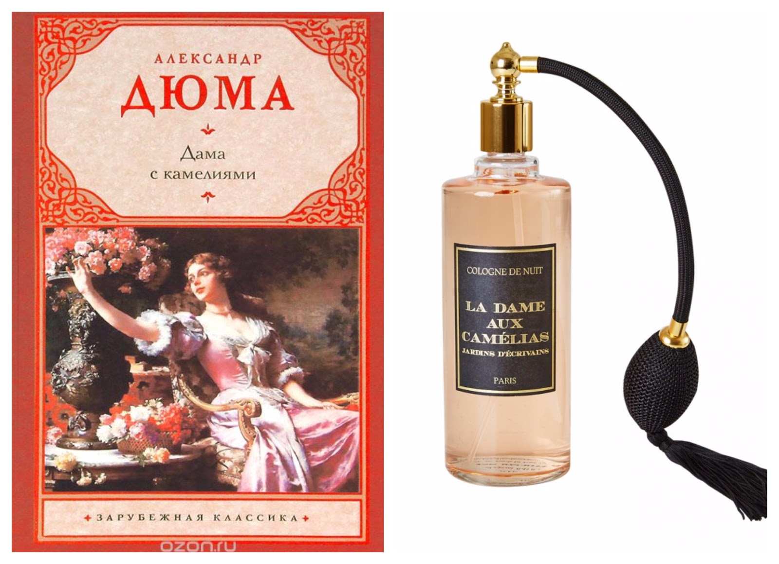 Дама с камелиями картина. Дюма-сын а. Дама с камелиями содержание. Дюма-сын а. "дама с камелиями".