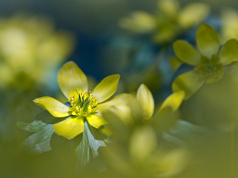 Https Www Tips At Pdf 2019 22 Tig Tips Gmunden 22 Pdf