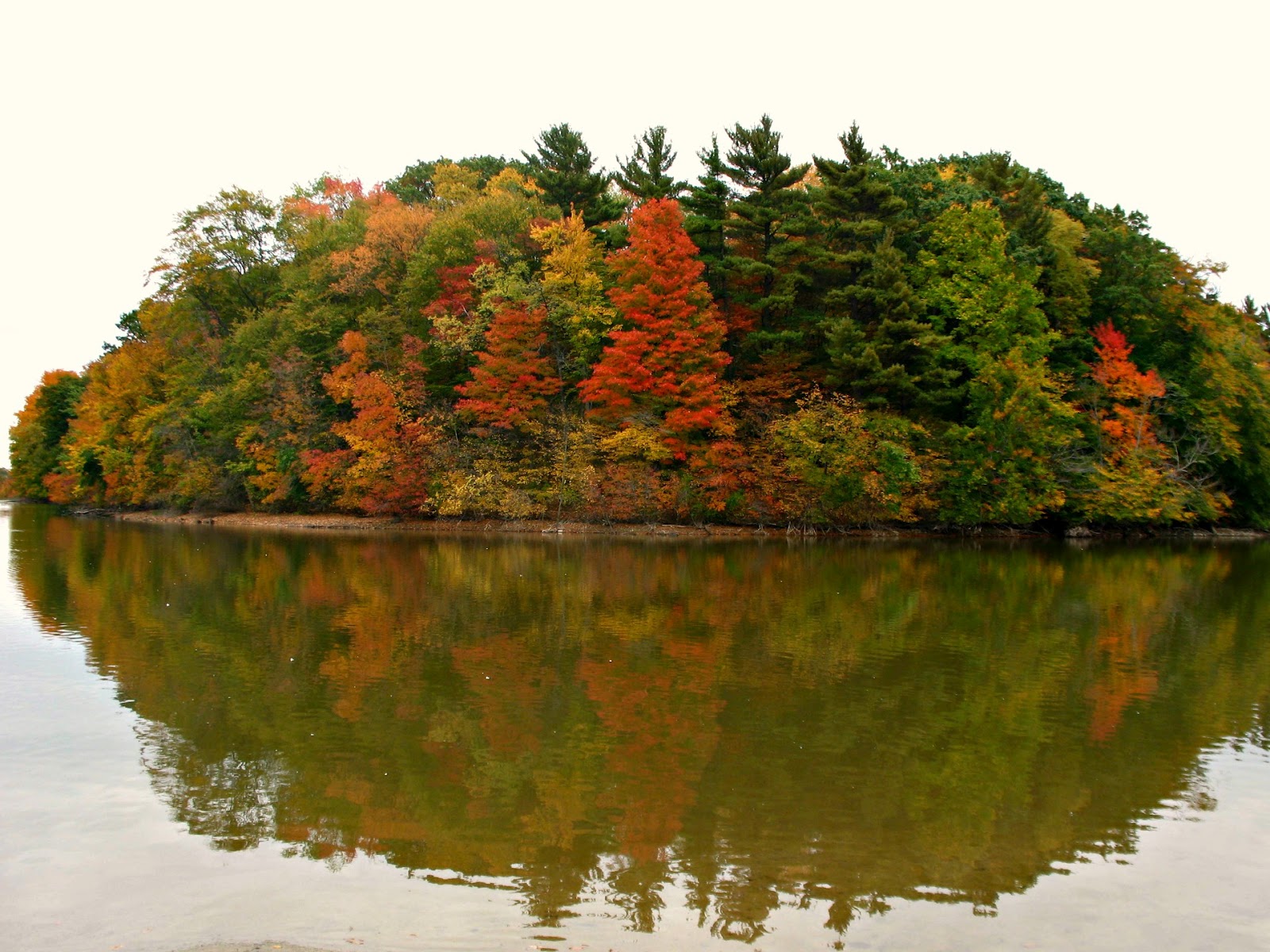 Dundas Valley Outdoors Fall Hike at Christie Lake