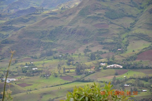 Polulo
