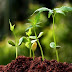Soil Health Card Day
