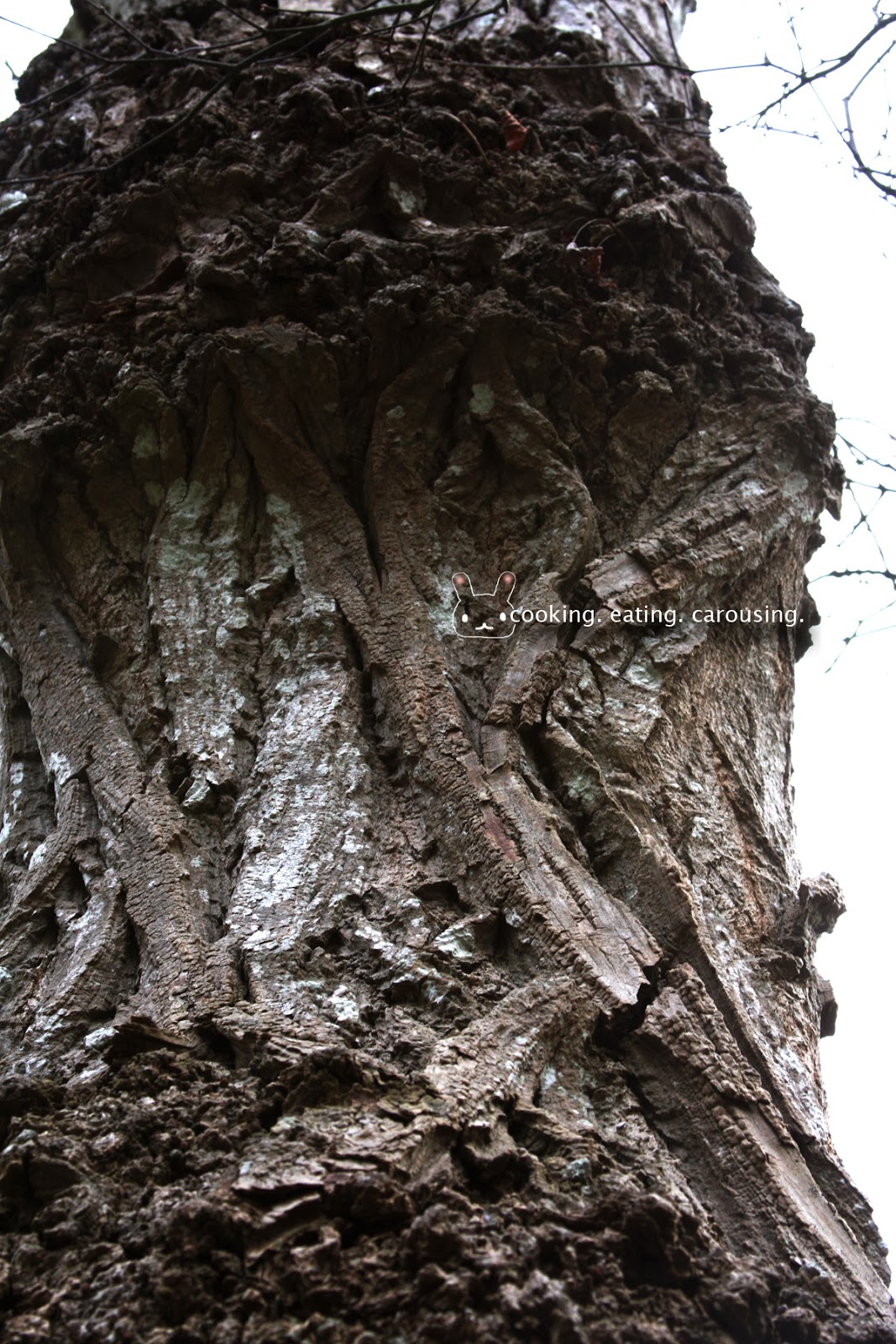 Cooking Eating Carousing Spring Flowers cooking-eating-carousing-spring-flowers