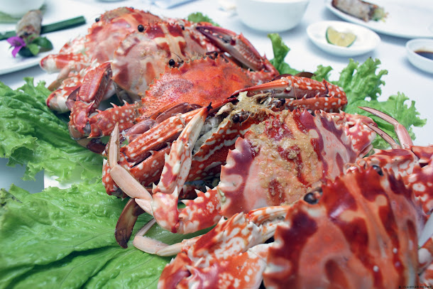 想吃海鮮、買優惠、見大廚，這個週末不妨走一趟台中梧棲漁港，現場舉辦「2017台中梧棲漁港鮮魚季」，3千份創意海鮮料理免費品嘗，還有知名主廚詹姆士、郭主義到場炫技，新鮮魚產通通在面前任你選購。圖為海鮮料理示意圖，非本次活動料理。