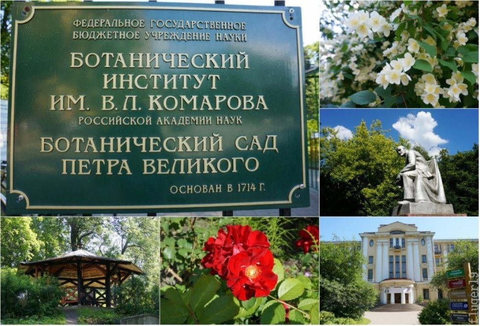 казань институт истории имени марджани. тимирязева. педагогический университет питер герцена. московский университет при елизавете петровне 1755. евгения долгова рггу.