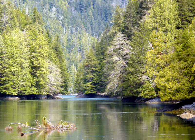 m/v WILD BLUE Cruising Blog: #3 The Inside Passage along BC's Coast