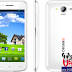 Easy Root Evercoss A7S Without PC