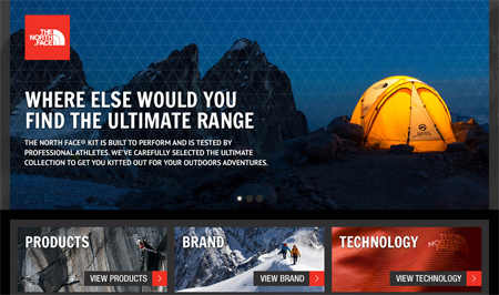 jaqueta de neve the north face