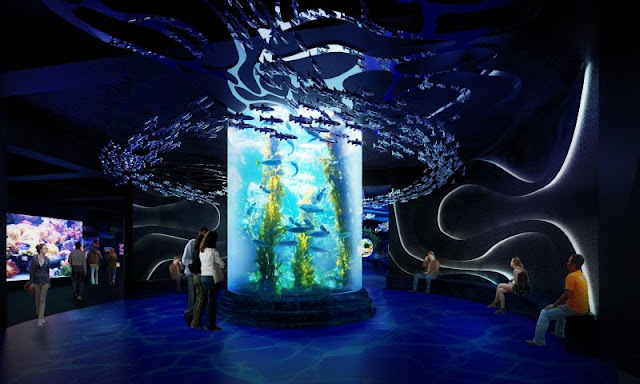 sensasi berpetualang bawah laut di jakarta aquarium indonesia